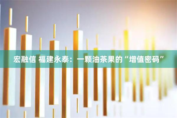 宏融信 福建永泰:一颗油茶果的“增值密码”