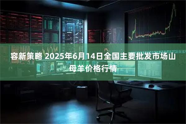 容新策略 2025年6月14日全国主要批发市场山母羊价格行情