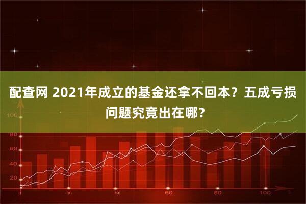配查网 2021年成立的基金还拿不回本？五成亏损 问题究竟出在哪？